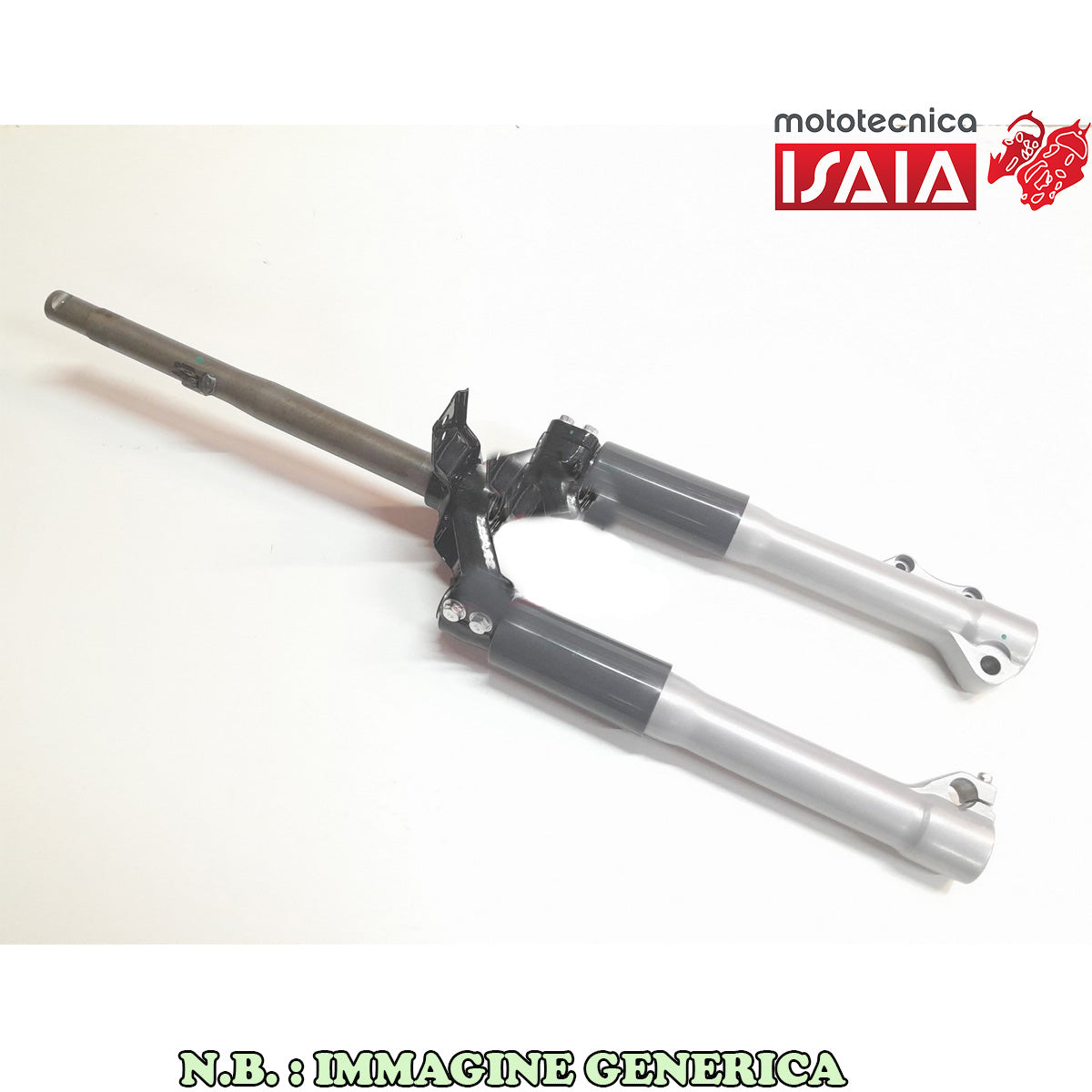 FORCELLA ANT COMPLETA