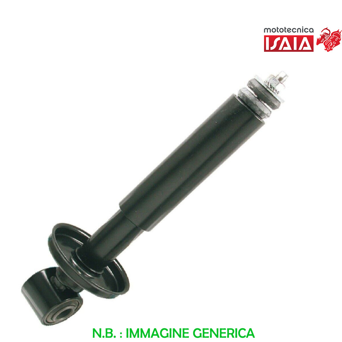 VV*AMM.ANT. APE MP          15