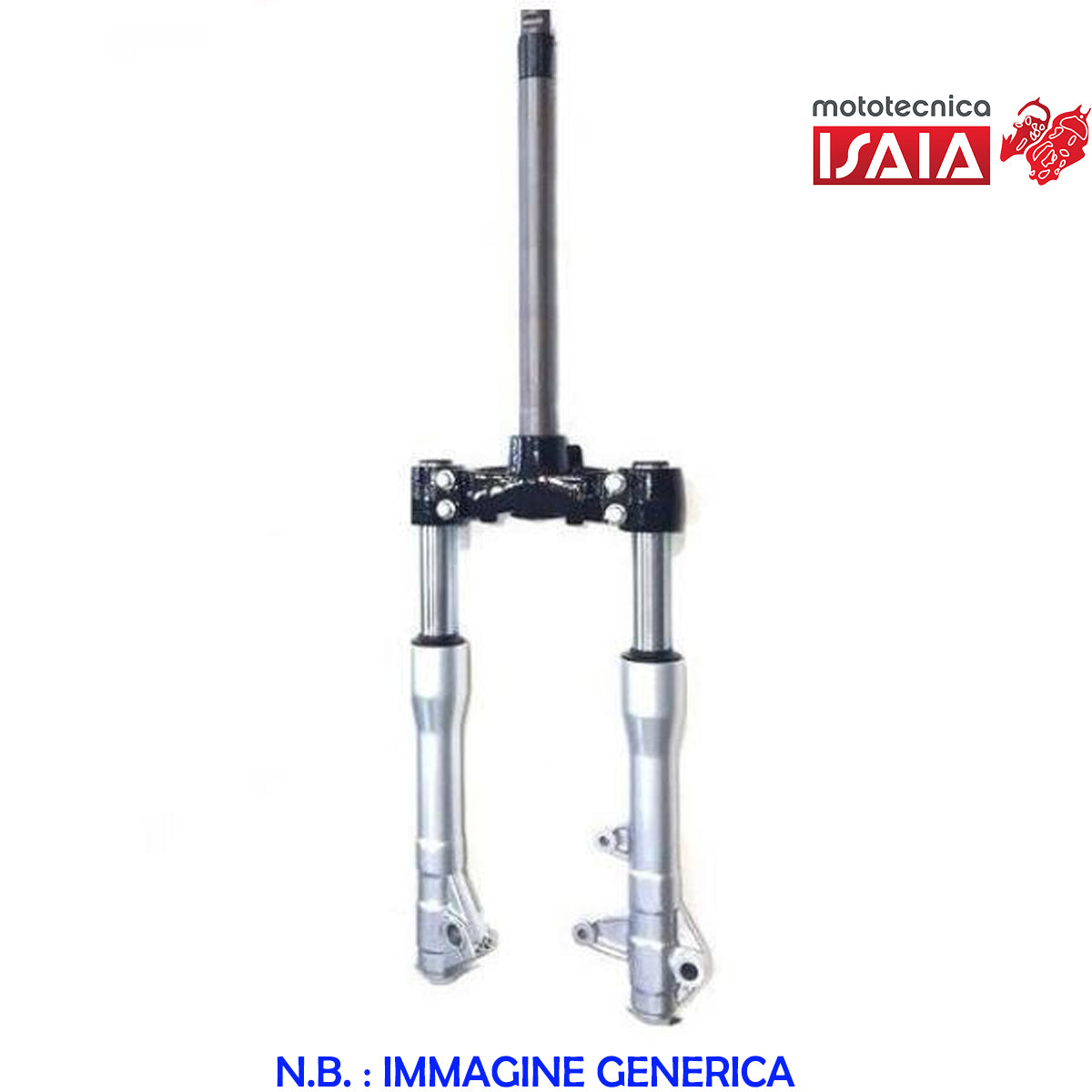 VV*FORCELLA ANT. COMPLETA