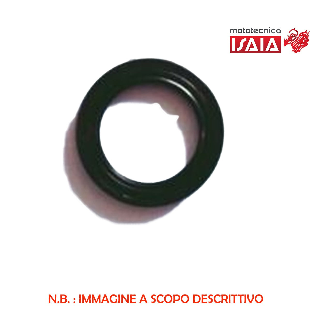 VV*GUARNIZ.POMPA OLIO 1300